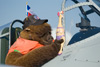 RN8_2694t.jpg