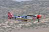 RN8_2940t.jpg