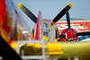 RN8_3178t.jpg