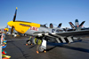 Reno2010_9877bt.jpg