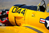 Reno_2010_11646t.jpg
