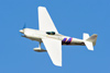 Reno2010_9901t.jpg
