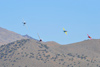 Reno_2010_2204ct.jpg