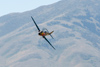 Reno2010_10555ct.jpg