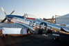 Reno11_4276t.jpg