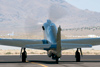 Reno11_4458t.jpg