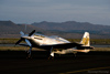 Reno11_6119t.jpg