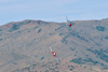 Reno12_11298t.jpg