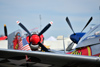 Reno12_8228t.jpg