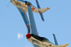 RN5_6475t.jpg