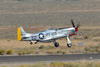 RN6_8734t.jpg