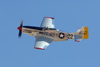 RN7_9582dt.jpg