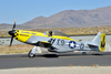 Reno12_8186t.jpg
