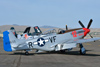 Reno12_11775t.jpg