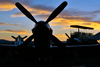 Reno12_8059t.jpg