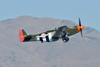 Reno12_9863t.jpg