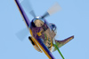RP6_3914t.jpg
