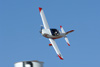 Reno2007_9303wt.jpg