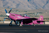 Reno2013_24852t.jpg