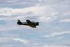 Reno2013_49952t.jpg