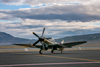 Reno2103_45388t.jpg