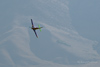 Reno2013_77331t.jpg