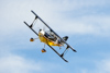 Reno_2014-63943t.jpg