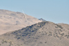 Reno_2014-75005t.jpg