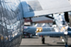 Reno_2014-10481t.jpg