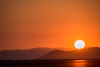 Reno_2014-30905t.jpg