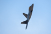 Reno_2014-42361t.jpg