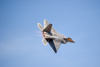 Reno_2014-42368t.jpg
