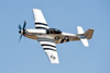Reno_2014-53715t.jpg