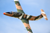 Reno_2014-64251t.jpg