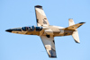 Reno_2014-53610t.jpg