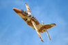 Reno_2014-64302t.jpg