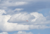 Reno_2014-10366t.jpg