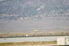 Reno_2014-20804t.jpg