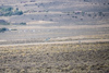 Reno_2014-72587t.jpg