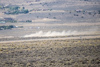 Reno_2014-72594t.jpg