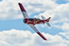 Reno_2014-75475t.jpg