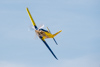 Reno_2014-42451t.jpg