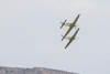 Reno_2014-64613t.jpg