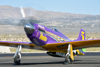 Reno_2014-10300t.jpg
