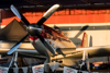 Reno_2014-52004t.jpg