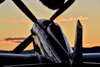 Reno_2015-151067t.jpg