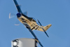 Reno_2015-152304t.jpg