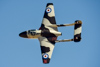 Reno_2015-155195t.jpg