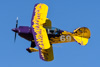 CurtisFowles-Reno2016-165041t.jpg