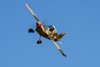CurtisFowles-Reno2016-161513t.jpg